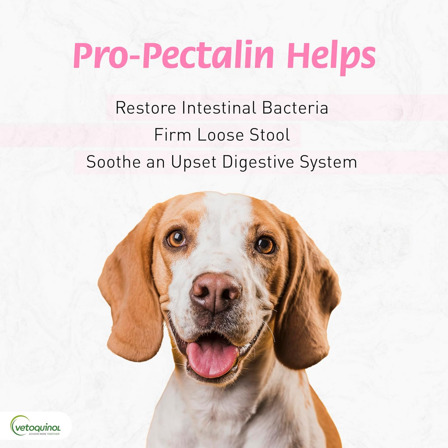 Pro-Pectalin Oral Paste and Chewable Tablets for Dogs and Cats
