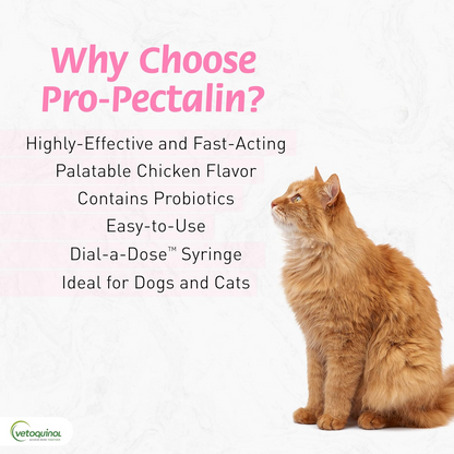 Pro-Pectalin Oral Paste and Chewable Tablets for Dogs and Cats