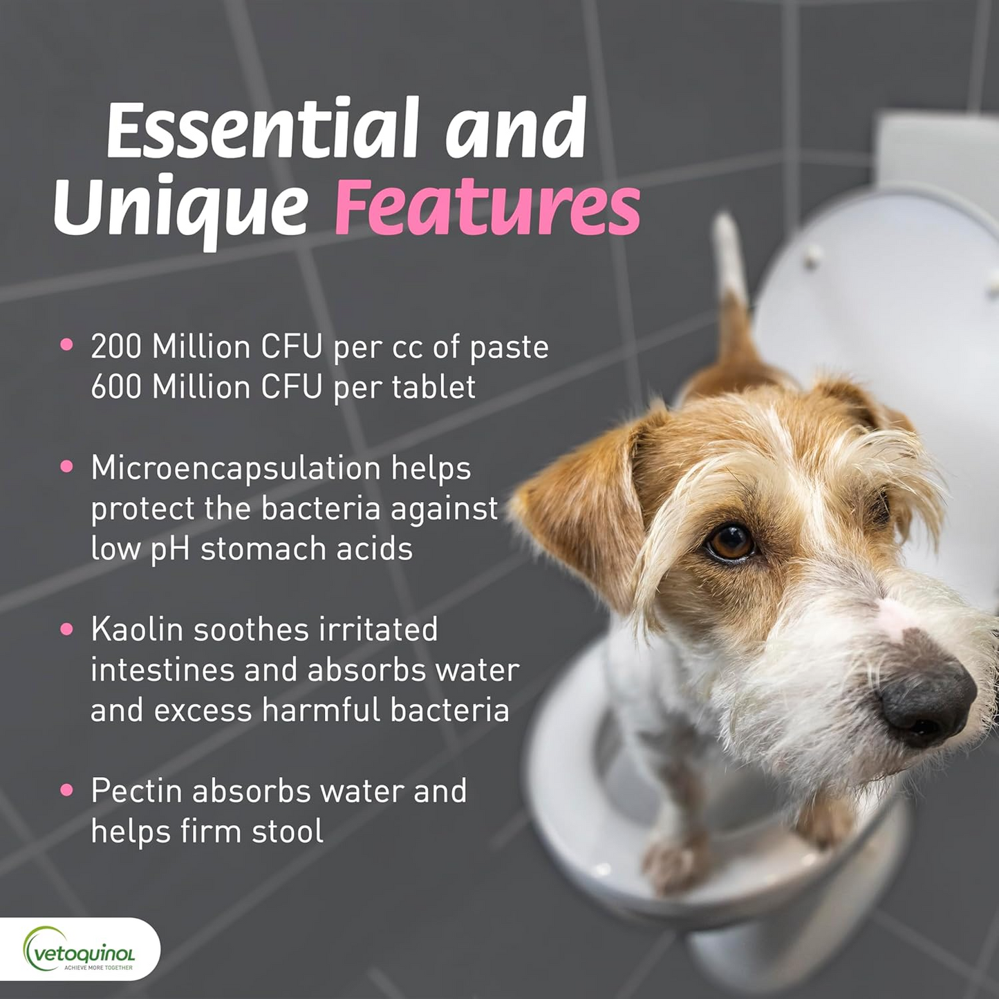 Pro-Pectalin Oral Paste and Chewable Tablets for Dogs and Cats