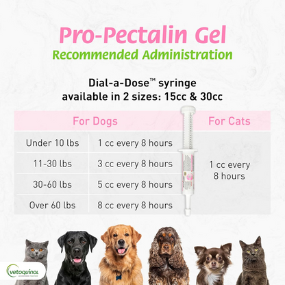 Pro-Pectalin Oral Paste and Chewable Tablets for Dogs and Cats
