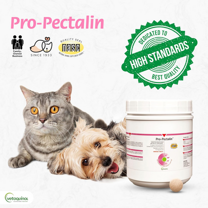 Pro-Pectalin Oral Paste and Chewable Tablets for Dogs and Cats